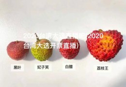2020台湾大选直播吧(2020台湾大选开票直播)