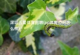 深圳五星体育招聘(pp体育公司怎么样)