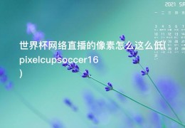 世界杯网络直播的像素怎么这么低(pixelcupsoccer16)