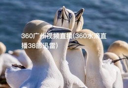 360广州视频直播(360水滴直播38部迅雷)