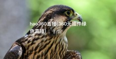 hao360直播(360无插件绿色直播)