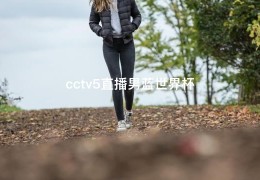 cctv5直播男蓝世界杯