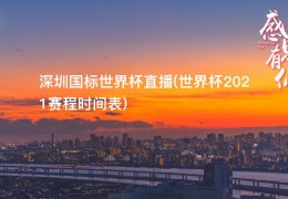 深圳国标世界杯直播(世界杯2021赛程时间表)