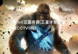 cctv5五星体育(五星体育频道是CCTV5吗)