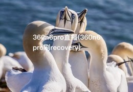 360n6pro直播(360n6pro刷recovery)