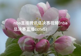 nba直播腾讯总决赛视频(nba总决赛直播cctv5)