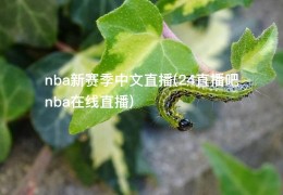 nba新赛季中文直播(24直播吧nba在线直播)