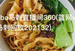 nba马刺直播间360(篮网vs马刺回放202132)