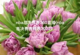 nba总决赛赛360直播(nba总决赛赛程表2022)