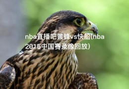 nba直播吧黄蜂vs快船(nba2015中国赛录像回放)