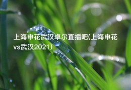 上海申花武汉卓尔直播吧(上海申花vs武汉2021)