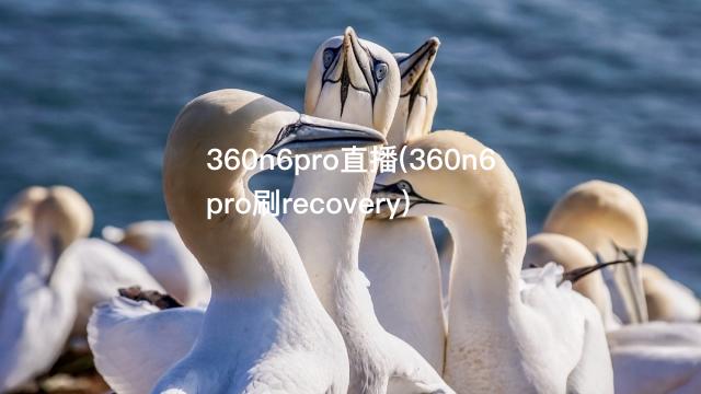 360n6pro直播(360n6pro刷recovery)