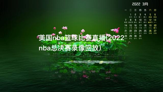 美国nba篮球比赛直播(2022nba总决赛录像回放)